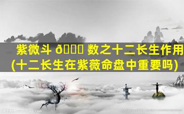 紫微斗 🐋 数之十二长生作用(十二长生在紫薇命盘中重要吗)